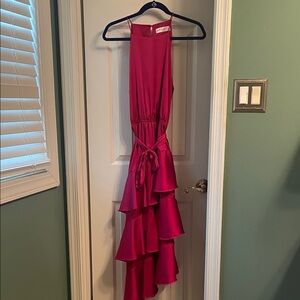 Petal & Pup Fuchsia High Low Dress